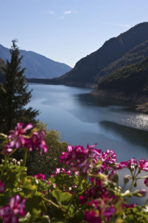 Hotel Al Lago Vogorno المظهر الخارجي الصورة